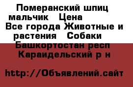 Померанский шпиц, мальчик › Цена ­ 35 000 - Все города Животные и растения » Собаки   . Башкортостан респ.,Караидельский р-н